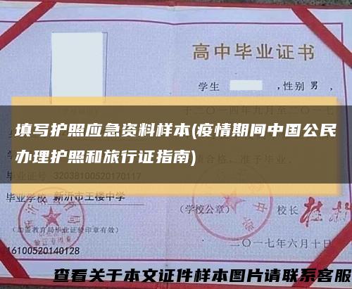填写护照应急资料样本(疫情期间中国公民办理护照和旅行证指南)缩略图