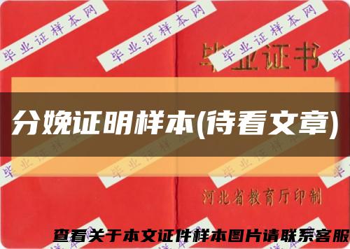 分娩证明样本(待看文章)缩略图