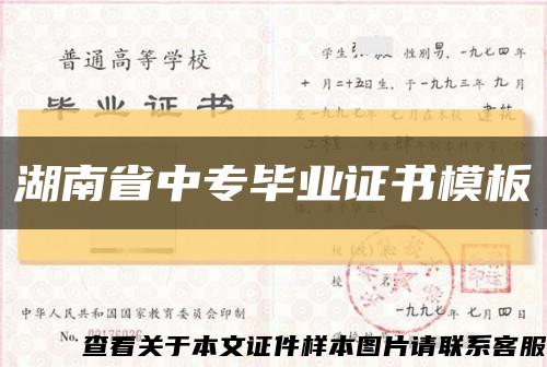 湖南省中专毕业证书模板缩略图
