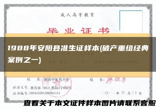 1988年安阳县准生证样本(破产重组经典案例之一)缩略图