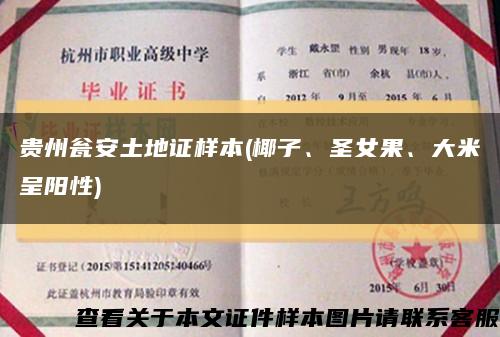 贵州瓮安土地证样本(椰子、圣女果、大米呈阳性)缩略图