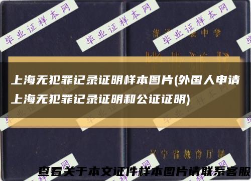 上海无犯罪记录证明样本图片(外国人申请上海无犯罪记录证明和公证证明)缩略图