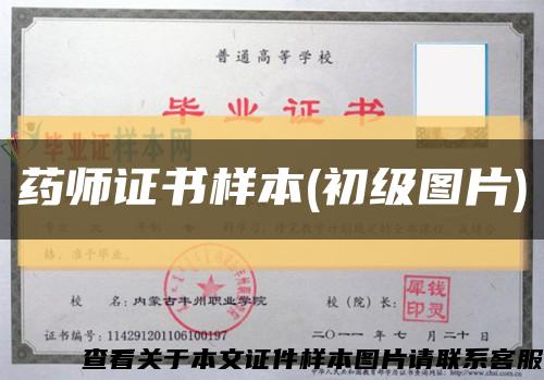 药师证书样本(初级图片)缩略图