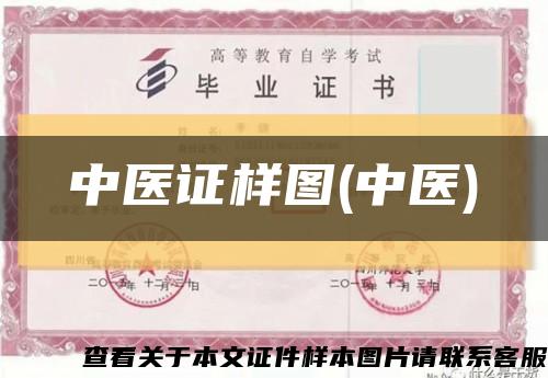 中医证样图(中医)缩略图