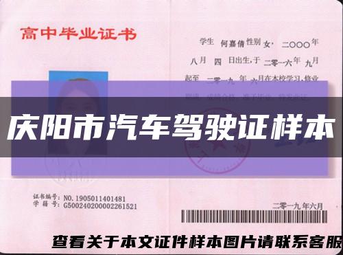 庆阳市汽车驾驶证样本缩略图