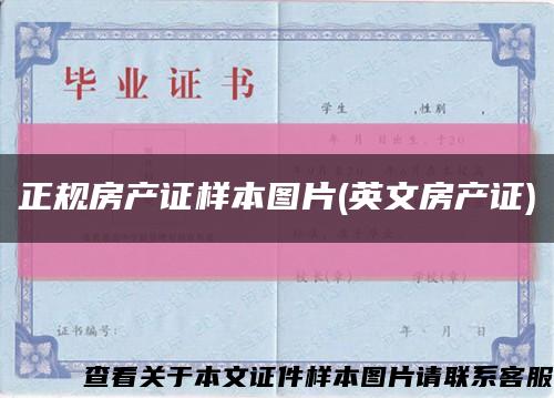 正规房产证样本图片(英文房产证)缩略图