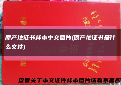 原产地证书样本中文图片(原产地证书是什么文件)缩略图