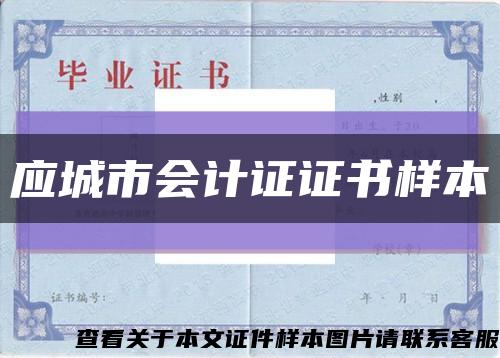 应城市会计证证书样本缩略图