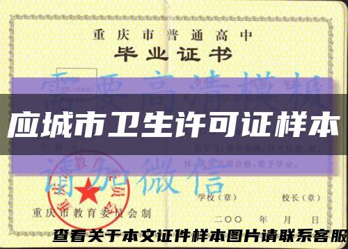 应城市卫生许可证样本缩略图