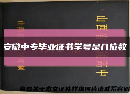 安徽中专毕业证书学号是几位数缩略图