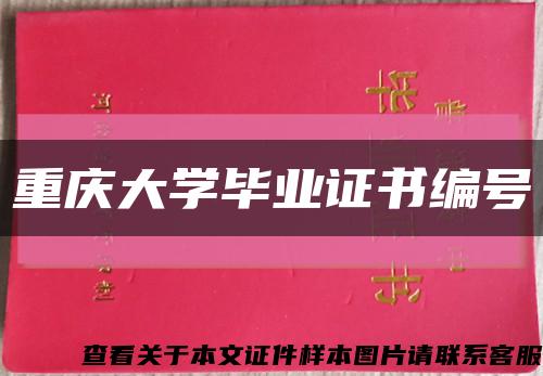 重庆大学毕业证书编号缩略图