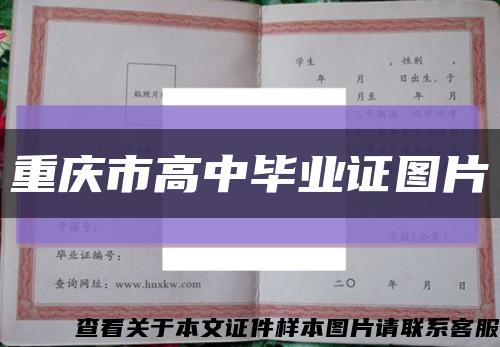 重庆市高中毕业证图片缩略图