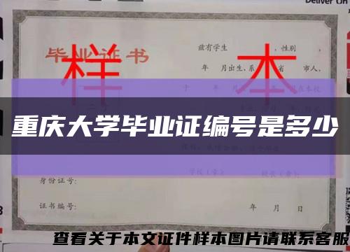 重庆大学毕业证编号是多少缩略图