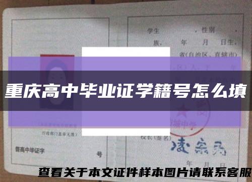 重庆高中毕业证学籍号怎么填缩略图