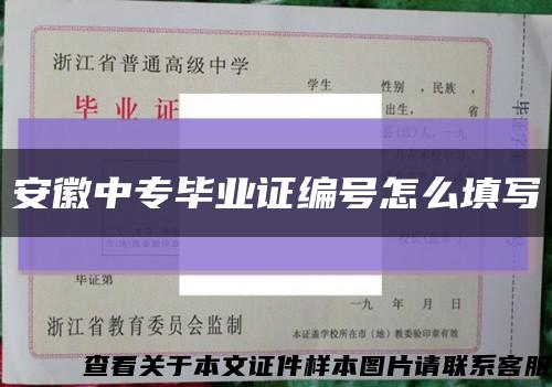 安徽中专毕业证编号怎么填写缩略图