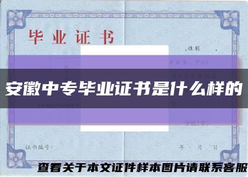 安徽中专毕业证书是什么样的缩略图