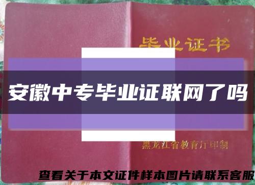 安徽中专毕业证联网了吗缩略图