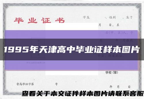1995年天津高中毕业证样本图片缩略图