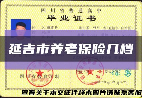 延吉市养老保险几档缩略图