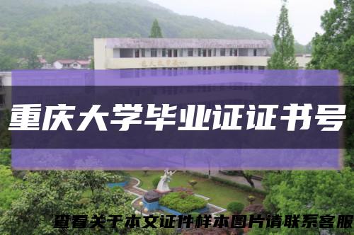重庆大学毕业证证书号缩略图