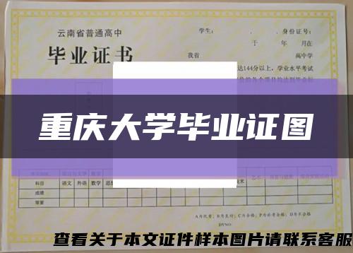 重庆大学毕业证图缩略图