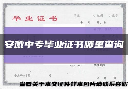 安徽中专毕业证书哪里查询缩略图