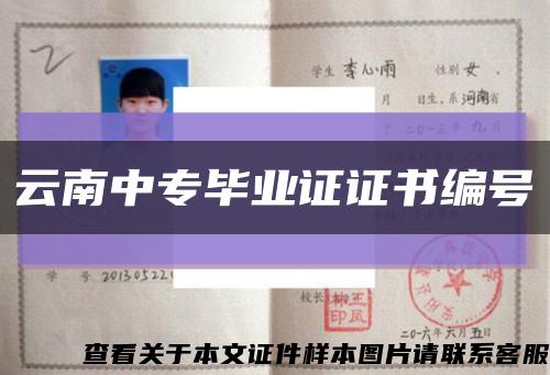 云南中专毕业证证书编号缩略图