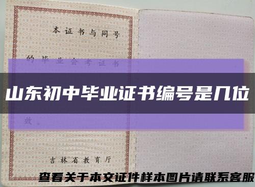 山东初中毕业证书编号是几位缩略图