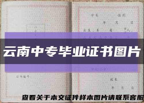 云南中专毕业证书图片缩略图