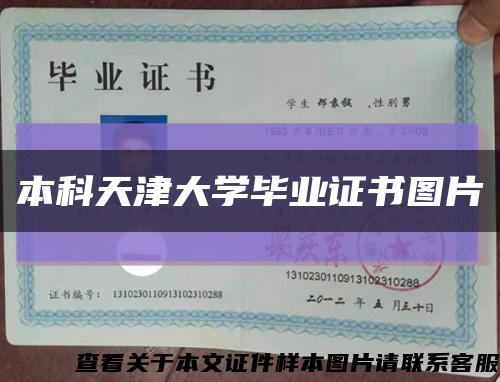 本科天津大学毕业证书图片缩略图