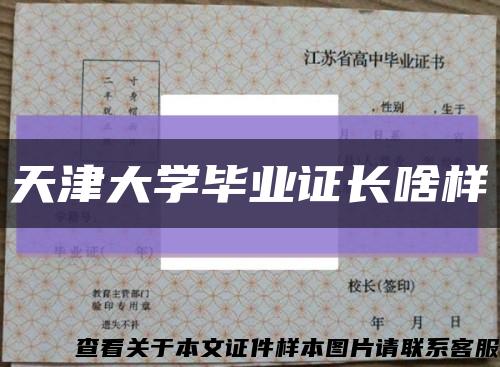 天津大学毕业证长啥样缩略图