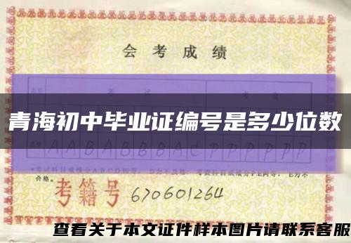 青海初中毕业证编号是多少位数缩略图