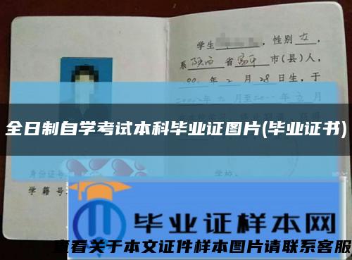 全日制自学考试本科毕业证图片(毕业证书)缩略图