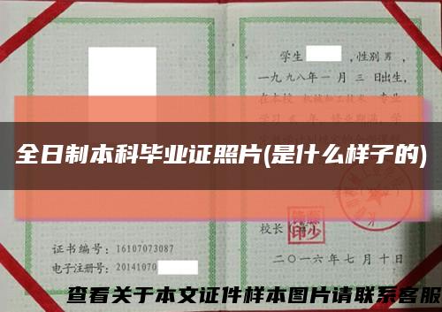 全日制本科毕业证照片(是什么样子的)缩略图