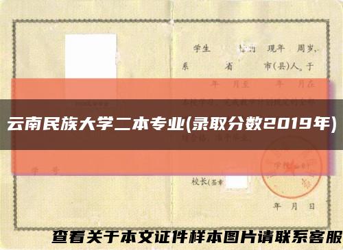云南民族大学二本专业(录取分数2019年)缩略图