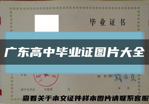 广东高中毕业证图片大全缩略图