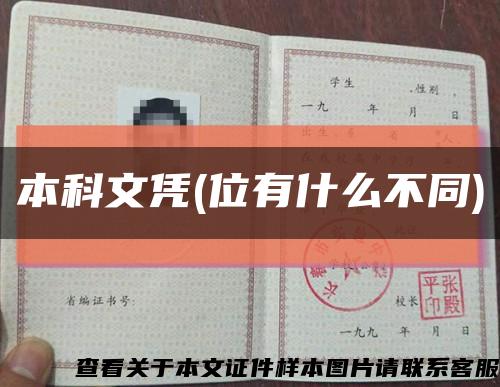 本科文凭(位有什么不同)缩略图