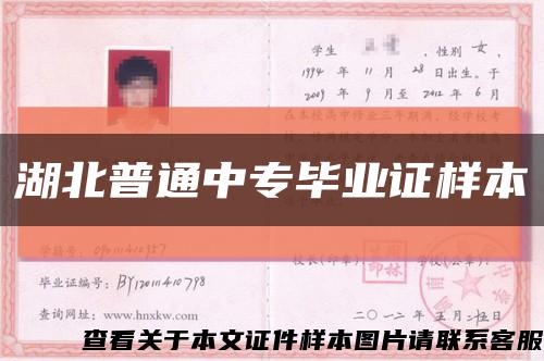 湖北普通中专毕业证样本缩略图