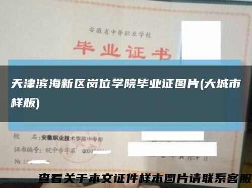 天津滨海新区岗位学院毕业证图片(大城市样版)缩略图