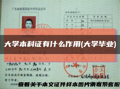 大学本科证有什么作用(大学毕业)缩略图