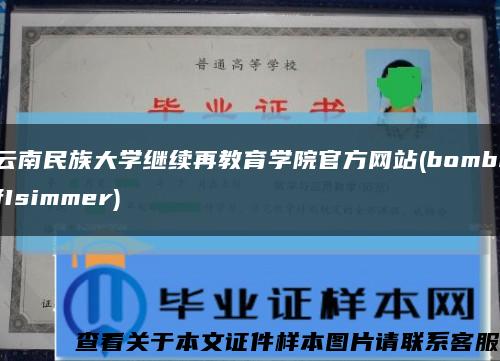 云南民族大学继续再教育学院官方网站(bombifIsimmer)缩略图