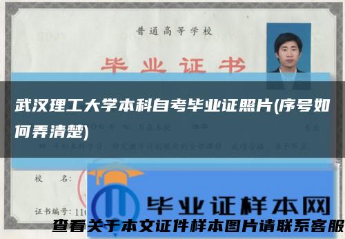 武汉理工大学本科自考毕业证照片(序号如何弄清楚)缩略图