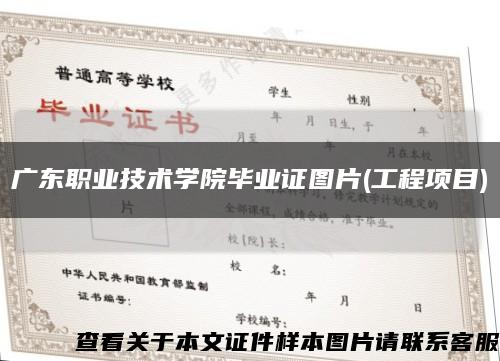 广东职业技术学院毕业证图片(工程项目)缩略图