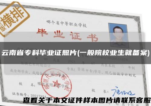 云南省专科毕业证照片(一般院校业生就备案)缩略图