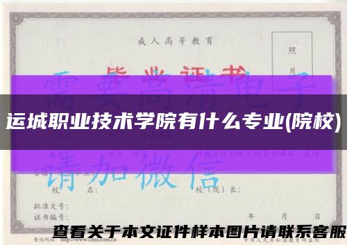 运城职业技术学院有什么专业(院校)缩略图