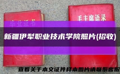 新疆伊犁职业技术学院照片(招收)缩略图