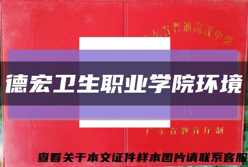 德宏卫生职业学院环境缩略图