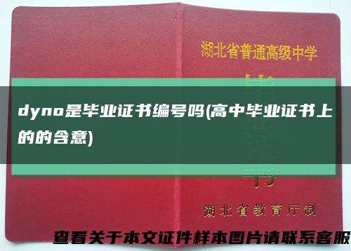dyno是毕业证书编号吗(高中毕业证书上的的含意)缩略图
