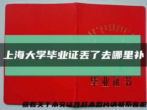 上海大学毕业证丢了去哪里补缩略图