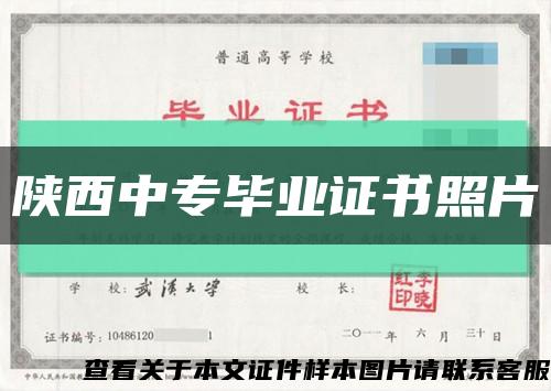陕西中专毕业证书照片缩略图